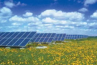 臺州這幾個行業受美國貿易戰直接沖擊 轉戰乎