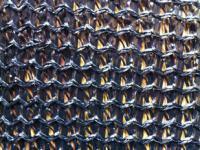 臺(tái)州市路橋區(qū)新大陸遮陽網(wǎng)廠